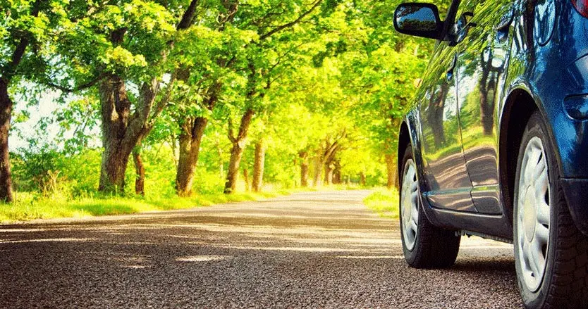Voiture circulant sur une route bordée d’arbres