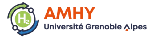 Logo du projet AMHY